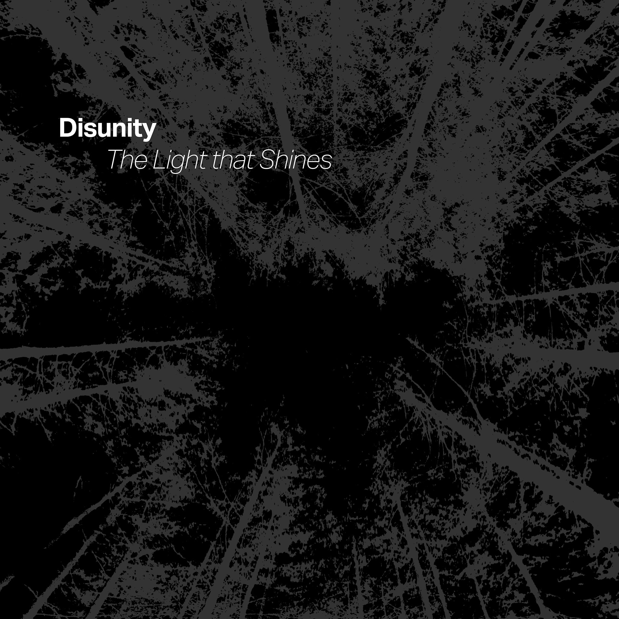 Disunity - The Light That Shines